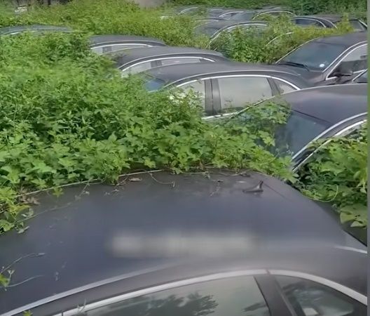 誰か答えを知っていますか？ – 広場に放置されたメルセデス-BYDの高級セダン872台（+ビデオ）