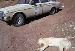 GAZ 2411 1991